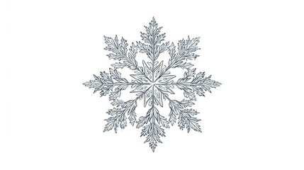 Detailed snowflake drawing