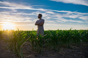 Fototapeta premium A farmer inspects the cornfield on sunrise. The male farmer works outdoors in the field. Agricultural worker farmer harvesting corn. A man examines the maize crop. Farmers work to harvest the crop.