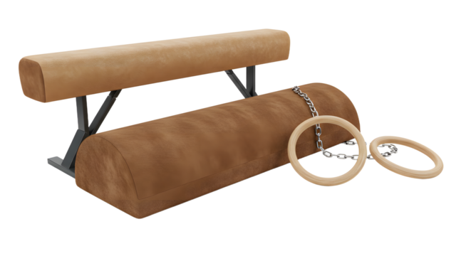 SPORT - Gymnastics pommel horse with two wooden rings isolated on white background, gym equipment for training and athletic exercise