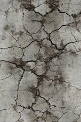 Obraz premium Cracked Concrete Wall Texture