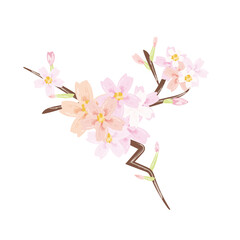 左方向に枝分かれした桜の枝