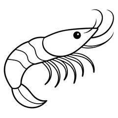 White Shrimp Line Art