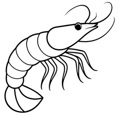 White Shrimp Line Art