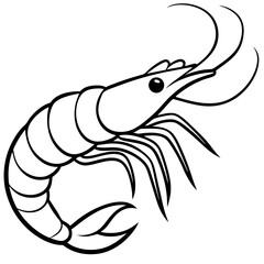 White Shrimp Line Art