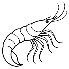 White Shrimp Line Art
