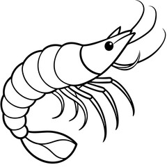 White Shrimp Line Art