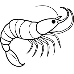 White Shrimp Line Art