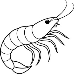 White Shrimp Line Art