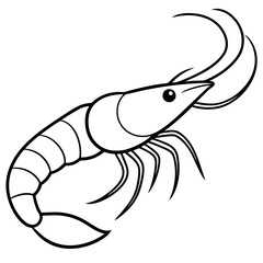 White Shrimp Line Art