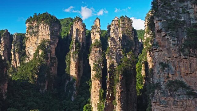 Majestic Zhangjiajie national forest park: towering sandstone pillars emerging from lush green forest, Wulingyuan Scenic Area, Hunan Province, China.