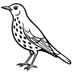 White Song Thrush Line Art