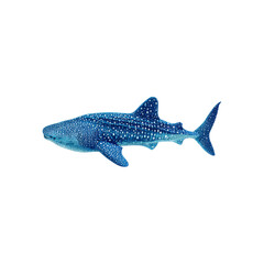 Fototapeta premium Majestic Whale Shark Swimming in Ocean Depths