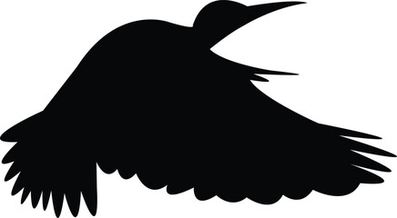Flying Andean flicker bird Silhouette Design And Vector Illustration. 