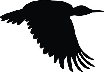 Flying Andean flicker bird Silhouette Design And Vector Illustration. 