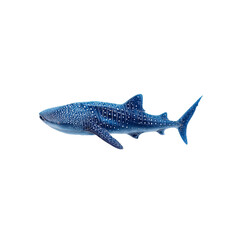 Majestic Whale Shark Swimming in the Ocean - Detailed Illustration