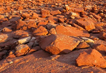 Red Rock Scatter: Textured Desert Landscape