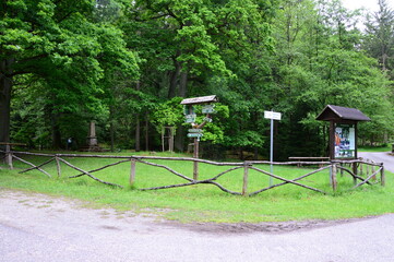 Obraz premium Trail in Spring in the Town Bad Berka, Thuringia