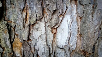 Old wooden textured 