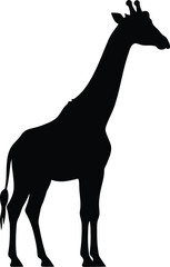Silhouette of a majestic giraffe standing tall on a plain animal wildlife nature silhouette vector