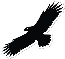 Majestic silhouette of a soaring eagle bird of prey freedom nature wildlife flight symbol vector