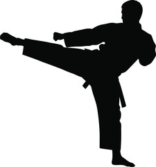 Martial arts silhouette dynamic side kick action figure karate fight sport athlete silhouette vector