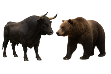 Realistic Bull and Bear Confrontation Isolated on Transparent Background