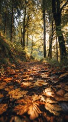 Fototapeta premium A Serene Autumn Pathway: Sunlight Filtering Through Trees and Casting Shadows on a Leaf-Covered Trail in a Lush Forest.