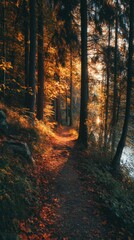 Fototapeta premium A Serene Autumn Pathway Surrounded by Majestic Trees, Bathed in Golden Light, Offering a Peaceful Retreat into Nature's Embrace