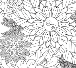 . Adult coloring book flowers