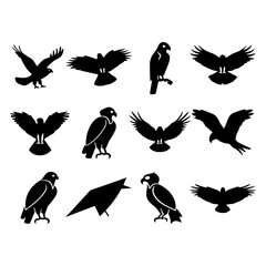Obraz premium Collection of twelve black bird silhouettes including eagles hawks and a geometric bird design art