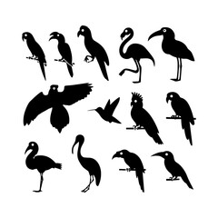Naklejka premium Silhouette illustration featuring various bird species including parrots and flamingos in black and white style