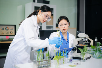 Female scientist inspects food and vegetables with microscope in modern lab. Biotechnology, nutrition, safety testing scene