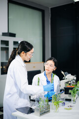 Asian scientist examines food under microscope in modern lab. Food safety, nutrition, biotech testing with green vegetables, gloves, lab gear, and real people in focus.