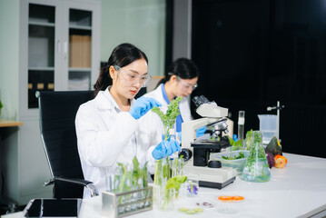 Two Asian scientists in a lab conducting food research using a microscope and lab equipment, showcasing innovation in food science and biotechnology