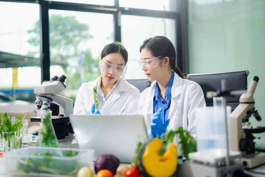 Asian food scientists test vegetables in biotech lab using microscope and laptop. Nutrition, safety, and clean food research in vertical orientation - Powered by Adobe