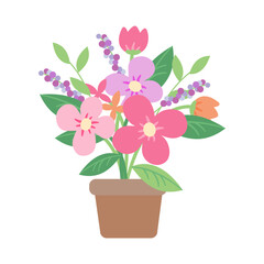 pink romantic flower potted plants