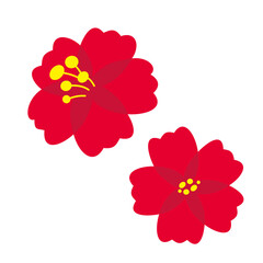 red hibiscus flowers