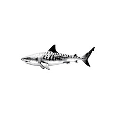 Naklejka premium Monochrome Tiger Shark Swimming in the Ocean Depths