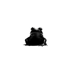 Mysterious Black Frog in Dramatic Low-Key Lighting