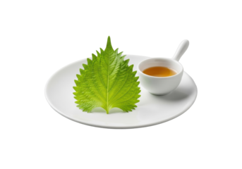 Pristine vibrant green shiso leaf on white ceramic plate with golden amber soy sauce, high-key studio light, seamless transparent background, concept of culinary elegance