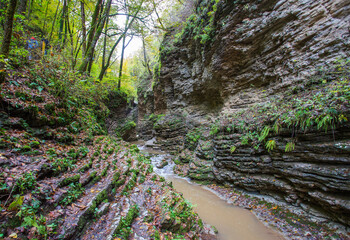 riverbed, a journey to the sources and unexplored places of wildlife