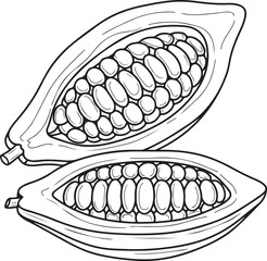 Two Halves of a Cocoa Pod with Beans Keywords: cocoa, cacao, pod, bean, fruit, food, ingredient