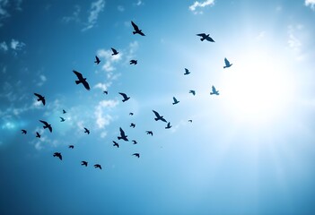 Flock of birds soaring through a bright blue sky with sun flare