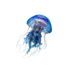 Ethereal Blue Jellyfish in Dark Background