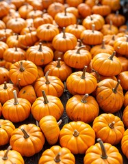 Abundant pumpkins in a vibrant autumn market scene