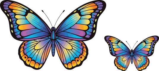 Two colorful butterflies with intricate wing patterns, showcasing vibrant hues of blue, orange, yellow, and purple
