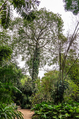 Belem, Brazil - Dec 07, 2024: Museum Emilio Goeldi at Belem, Brazil. Research Institute with Fauna and Flora from Amazon