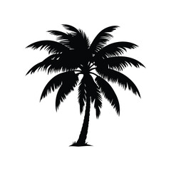 Fototapeta premium Silhouette of a tropical palm tree casting a stark, bold shadow, coconut palm silhouette vector illustration