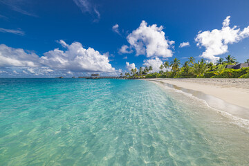 Stunning exotic tropical beach landscape with soft sand, turquoise sea, palm trees, sunny sky, and gentle waves, picturesque paradise island Maldives for summer vacation, tourism, and travel destinati
