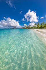 Stunning panoramic tropical beach landscape with soft sand, turquoise sea, palm trees, sunny sky, and gentle waves. Best picturesque paradise island Maldives for summer vacation, tourism, top travel